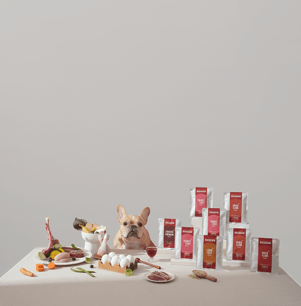 바프독 브랜드 스토리