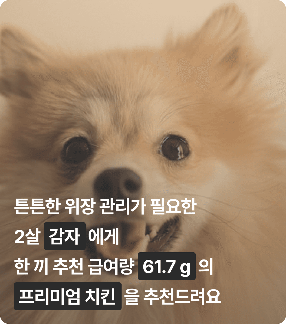 chapter2 image