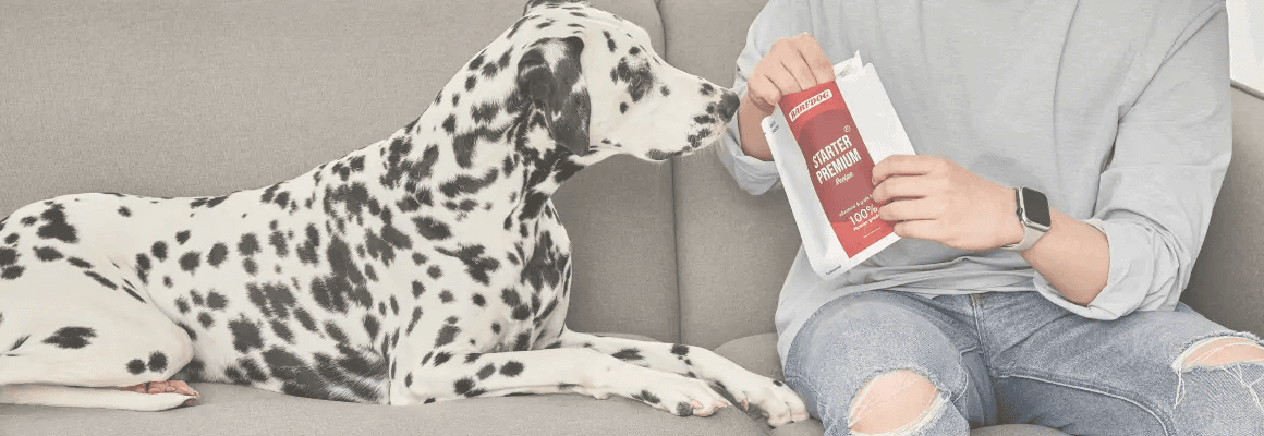 Fresh Life! Fresh our