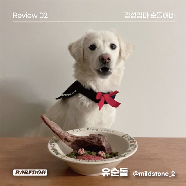 바프독 인스타그램 이미지-13