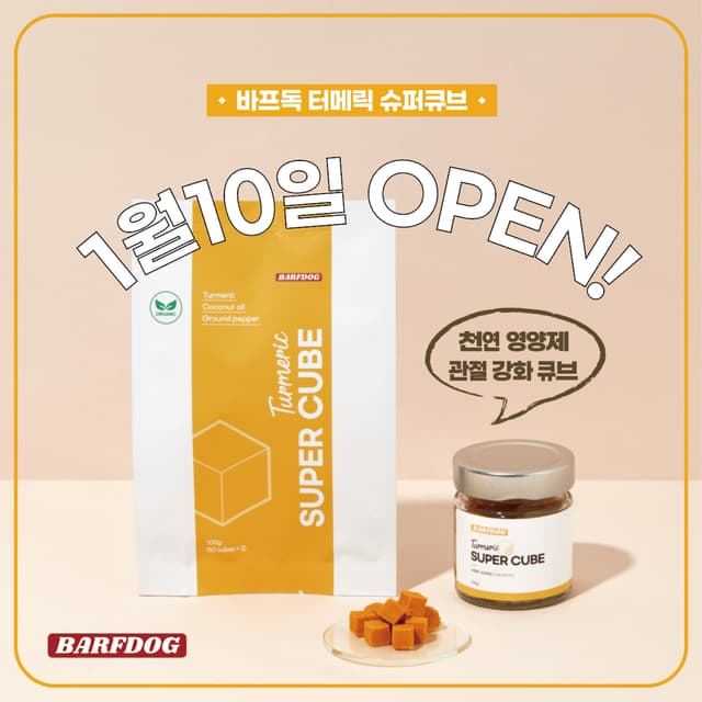 바프독 인스타그램 이미지-14