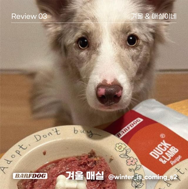 바프독 인스타그램 이미지-8